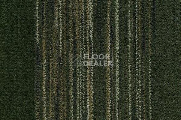 Ковровая плитка Coral Interior 1518 rain forest фото 1 | FLOORDEALER